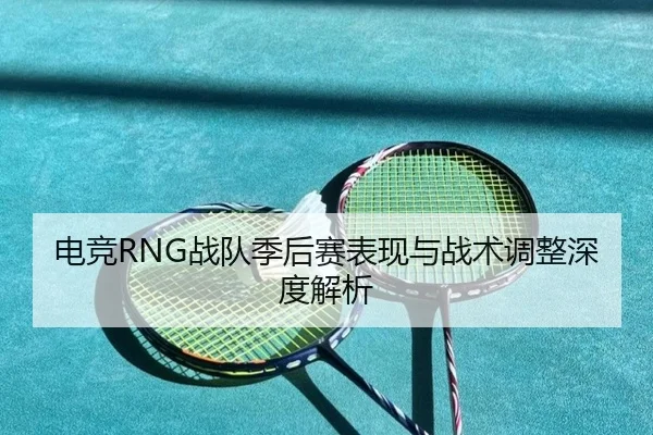 电竞RNG战队季后赛表现与战术调整深度解析